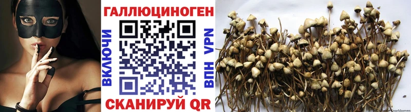 Галлюциногенные грибы MAGIC MUSHROOMS Слюдянка