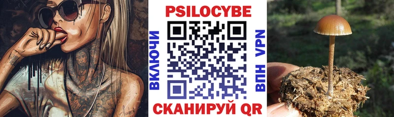Псилоцибиновые грибы MAGIC MUSHROOMS  OMG маркетплейс  Слюдянка  где можно купить  